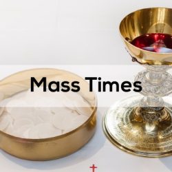 Trung tÃ¢m cÃ´ng giÃ¡o mass times