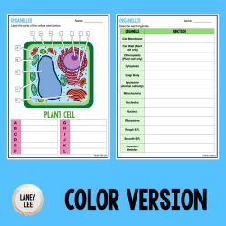 Cell organelles review worksheet answers