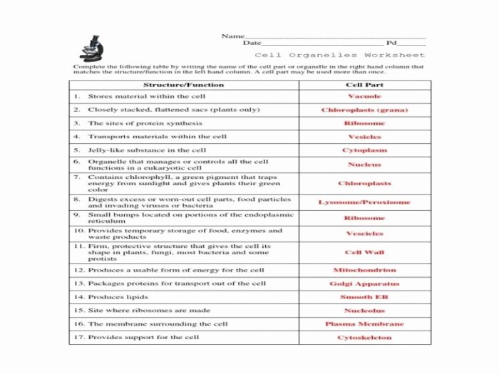 Cell organelles review worksheet answers