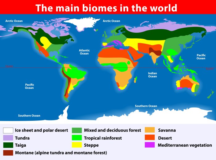 Exploring biomes worksheet answer key