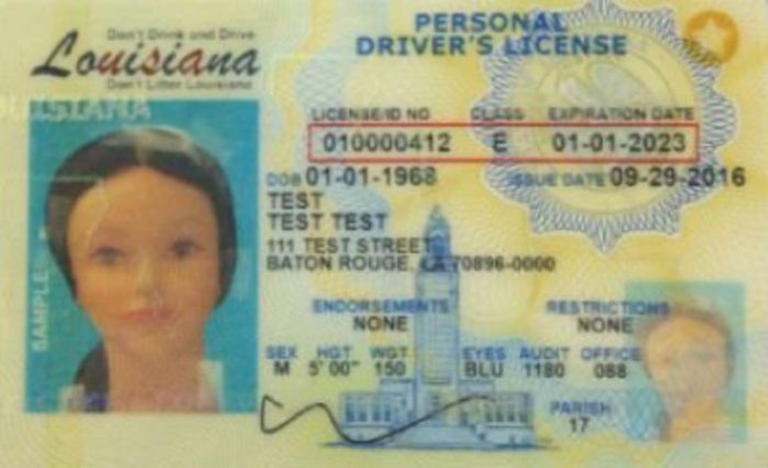 How do you get a chauffeur's license in louisiana