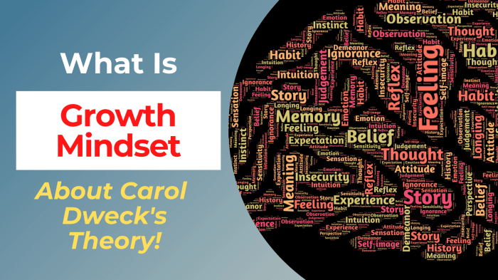 An important component to carol dweck's theory of motivation is