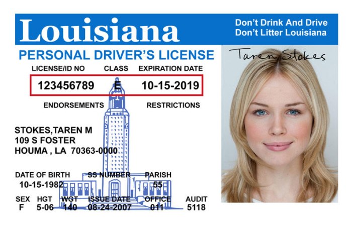 How do you get a chauffeur's license in louisiana